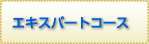 �G�L�X�p�[�g�R�[�X