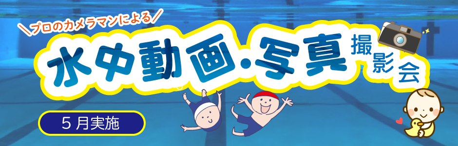 水中動画・写真