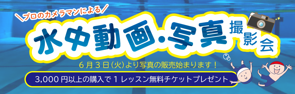 水中動画・写真
